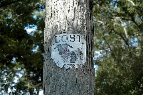 lost