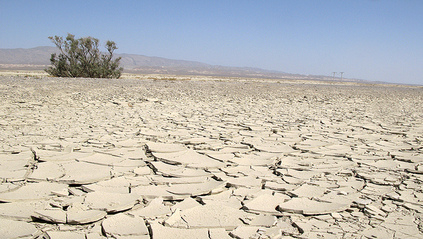drought