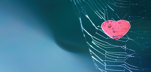 heart heart