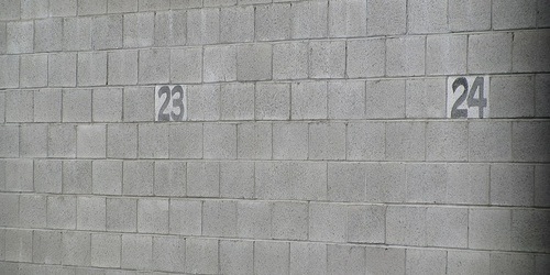 23